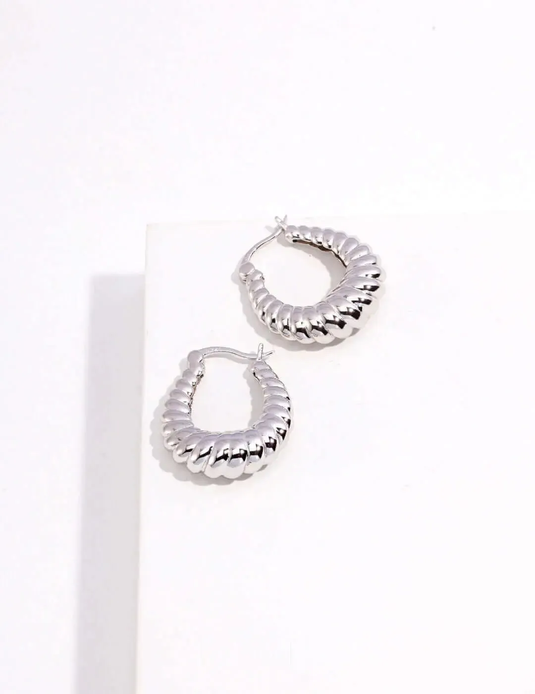 Stylish Hoop Earrings